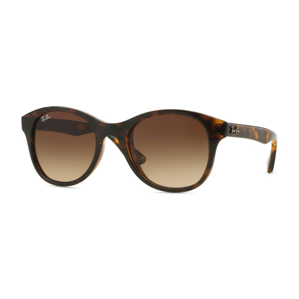Ray-Ban Unisex Sunglasses Brown 0RB4203 - brown NOSIZE