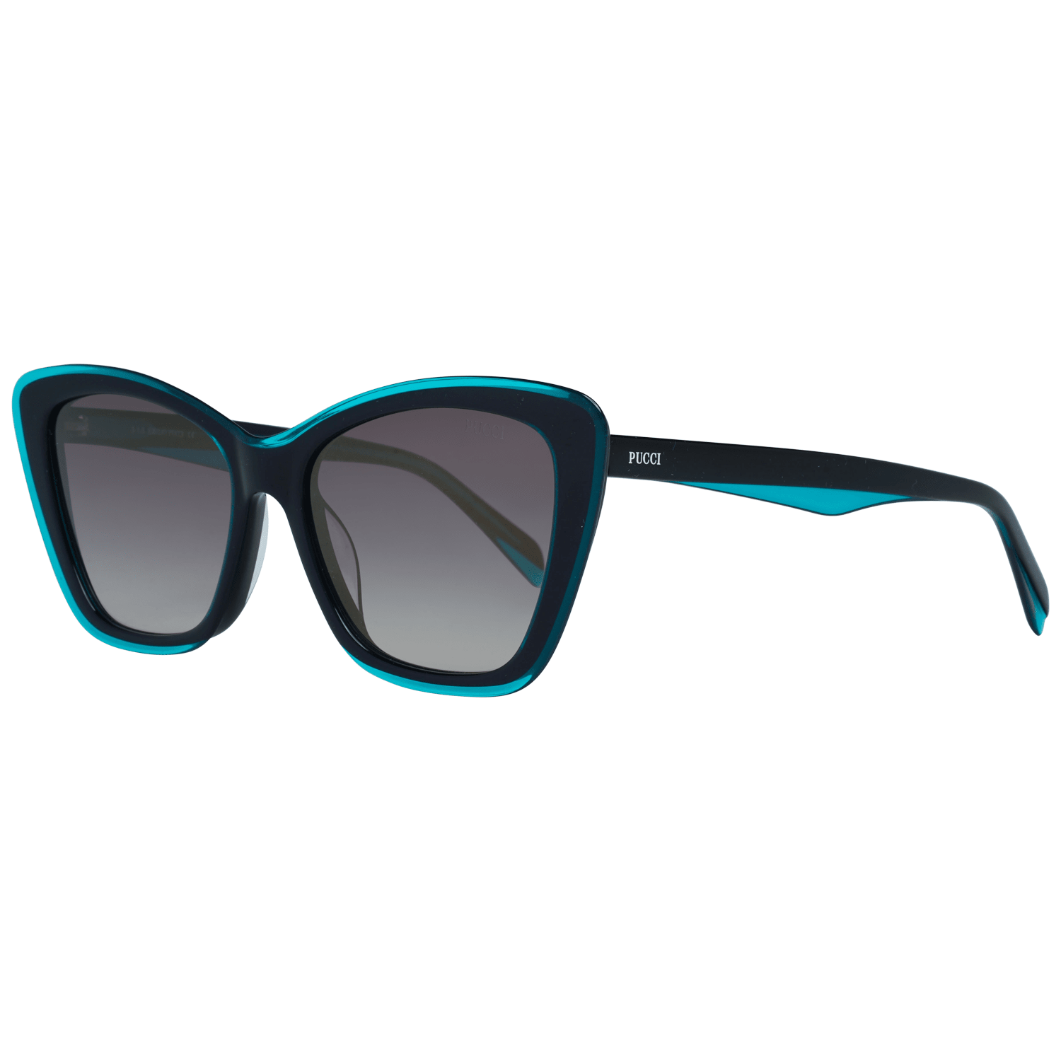 Emilio Pucci Women's Sunglasses Black EP0107 5589B