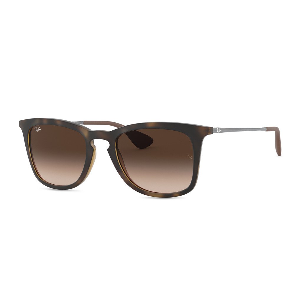 Ray-Ban Unisex Sunglasses Various Colours 0RB4221 - brown NOSIZE