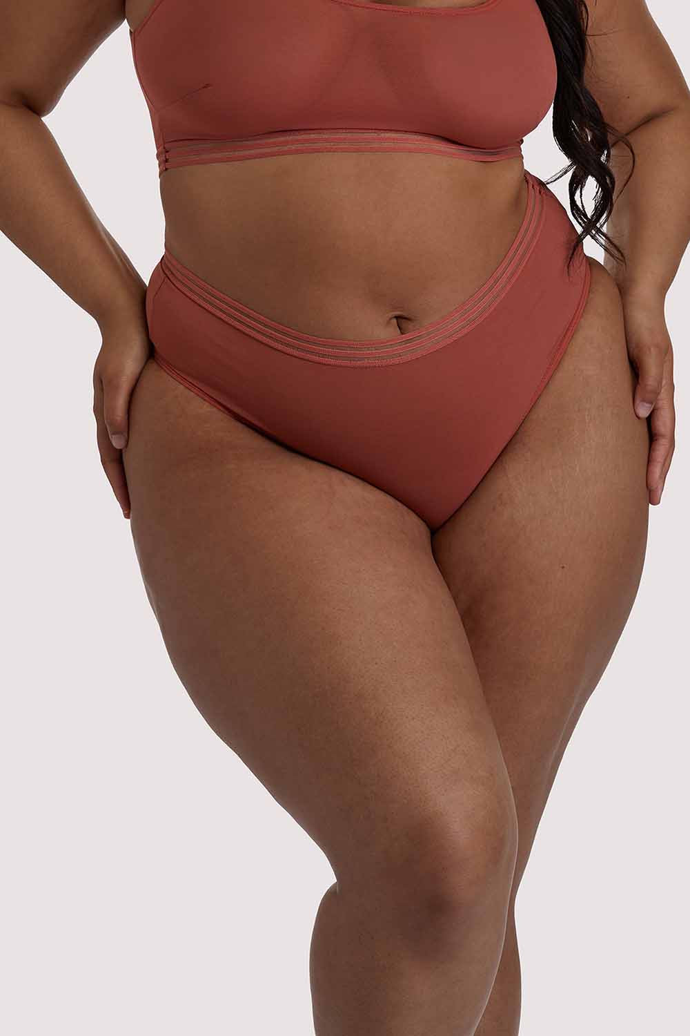Gabi Fresh Chelsea Cinnamon Mesh Highwaist Brief UK 16 / US 12